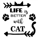 www.themisscat.pl THE MISS CAT naklejka z kotem 30×30 life is better with cat