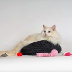 piłeczka ze sprężynką SPRING BALL THE MISS CAT bordowa zabawka dla kota