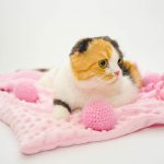 www.themisscat.pl THE MISS CAT kocyk dla kota psa cat blanket dog blanket CHILL OUT light pink