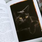 Magia kotów, Barbara Sieradzan