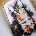 Najpiękniejsze wiersze o kotach, Franciszek J. Klimek (1)