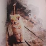 Najpiękniejsze wiersze o kotach, Franciszek J. Klimek (1)
