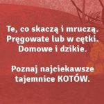 Sekretne życie kotów, Andrzej Kruszewicz, Agnieszka Czujkowska (1)