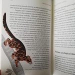 Sekretne życie kotów, Andrzej Kruszewicz, Agnieszka Czujkowska (1)