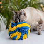 kula węchowa UKRAINA jpg (1)