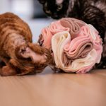 kula węchowa 17 cm dla psa i kota, zabawka węchowa 2 (1)