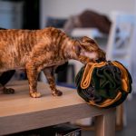 kula węchowa 14 cm dla psa i kota, zabawka węchowa (1) jpg