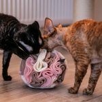 kula węchowa 17 cm dla psa i kota, zabawka węchowa 2 (1)