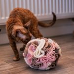 kula węchowa 17 cm dla psa i kota, zabawka węchowa 2 (1)