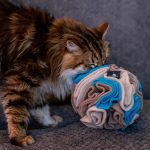 kula węchowa 20 cm dla psa i kota, zabawka węchowa 4