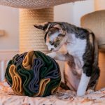 kula węchowa 14 cm dla psa i kota, zabawka węchowa (1) jpg