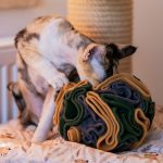 kula węchowa 14 cm dla psa i kota, zabawka węchowa (1) jpg