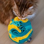 TROPIKALNY PORANEK (mięta-jasny morski-żółty)