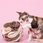 kula węchowa 17 cm dla psa i kota, zabawka węchowa 2 (1)