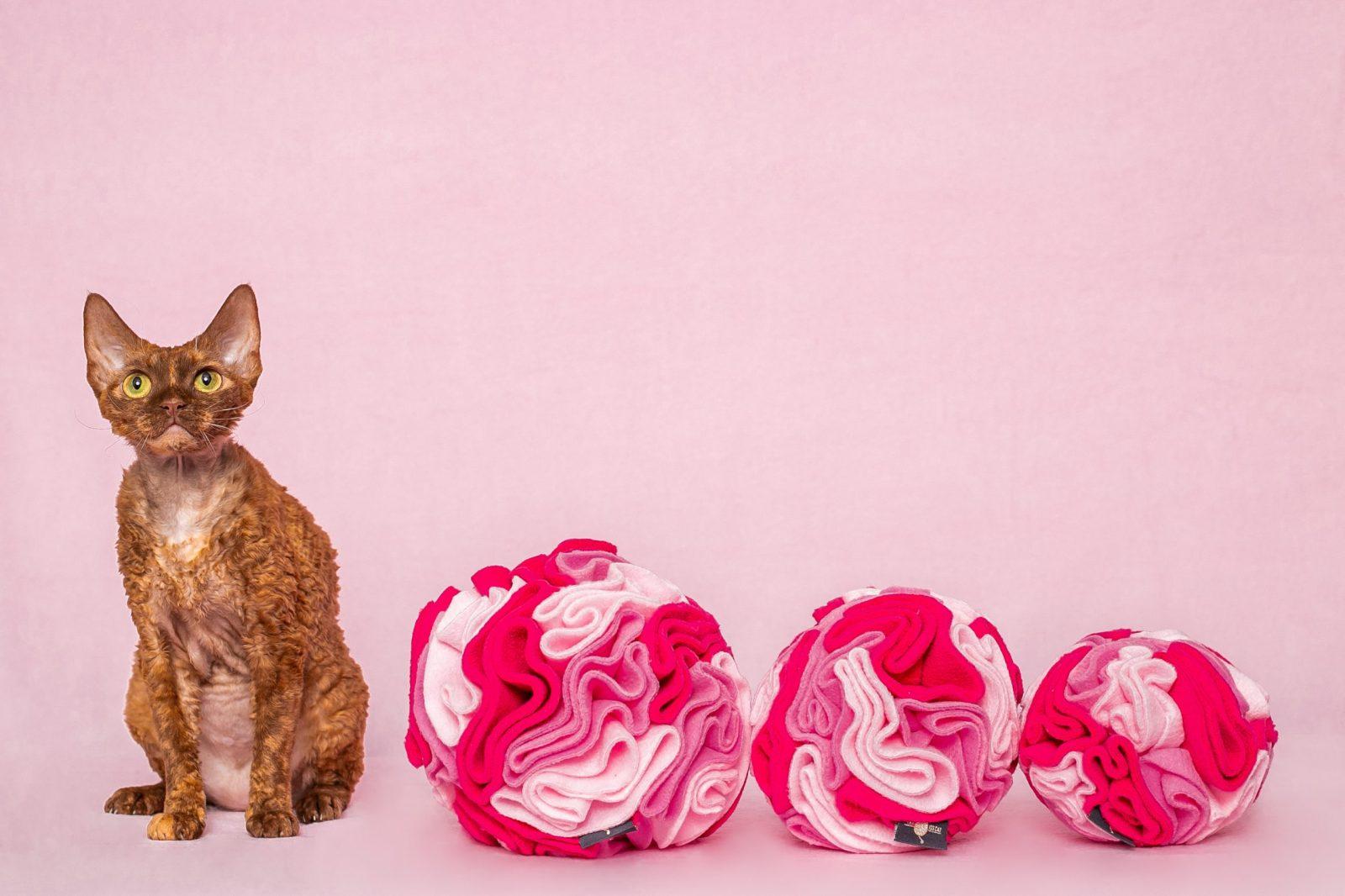 IMG_7186-2 — kopia