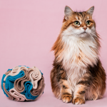 kula węchowa 20 cm dla psa i kota, zabawka węchowa 4