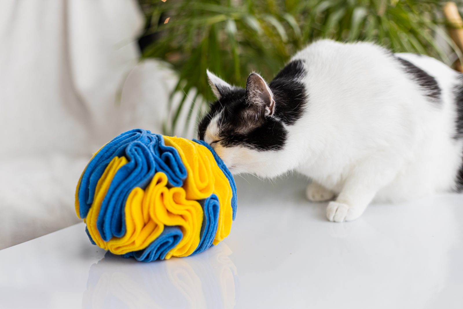 Marzec 2022 - 3-4168