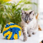 kula węchowa UKRAINA jpg (1)